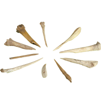 Poinçonc Tournié poinconstournie